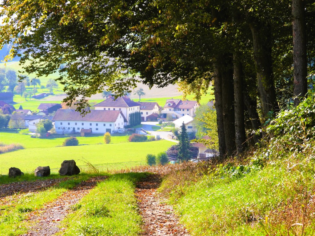 Ein malerischer ländlicher Weg, umgeben von Bäumen, mit Blick auf ein Dorf in der Ferne, das von grünen Wiesen umgeben ist.